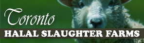 toronto halal slaughter farms